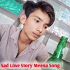 About Sad Love Story Meena Song Song